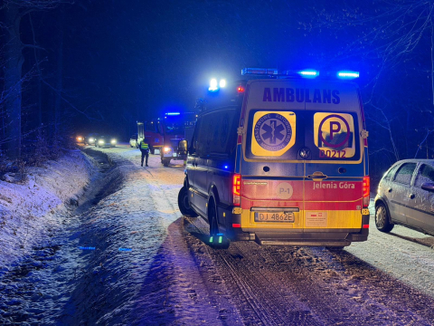 Osobówka wypadła z drogi i uderzyła w drzewo. Wypadek w powiecie jaworskim, pięć osób rannych - 2