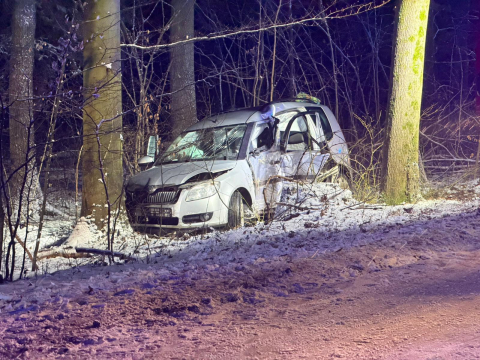 Osobówka wypadła z drogi i uderzyła w drzewo. Wypadek w powiecie jaworskim, pięć osób rannych - 4