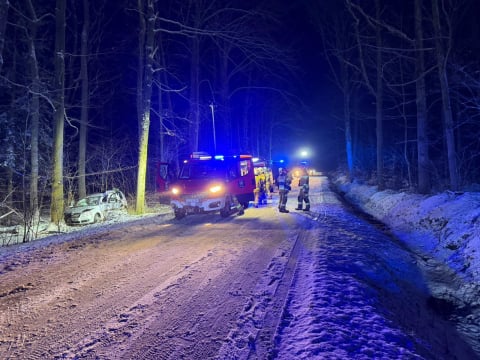 Osobówka wypadła z drogi i uderzyła w drzewo. Wypadek w powiecie jaworskim, pięć osób rannych - 5
