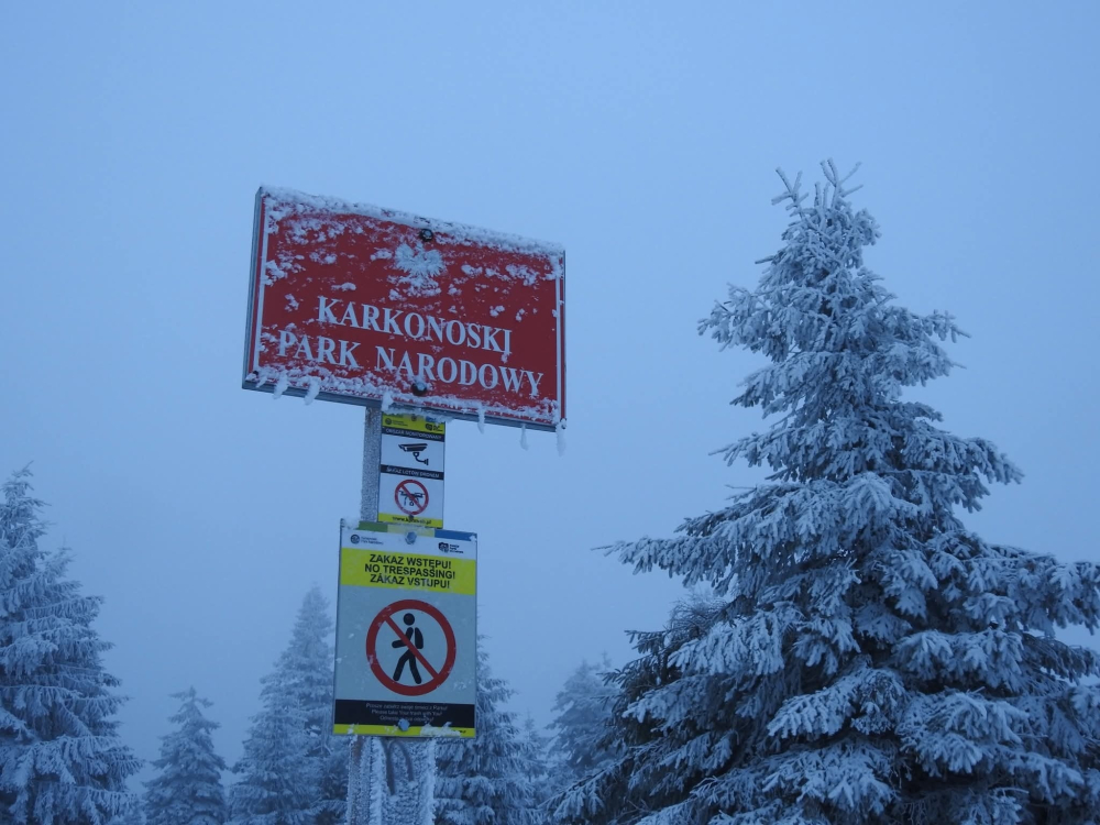 II stopień zagrożenia lawinowego, zamknięte szlaki. Bardzo trudne warunki w Karkonoszach - Trudne warunki w Karkonoszach. Niektóre szlaki są zamknięte