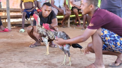 Radio Wrocław na Madagaskarze. "Tej podróży nie da się zaplanować" - 12