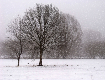 Zima nie odpuszcza. Silny mr&oacute;z na Dolnym Śląsku. W weekend nawet -15&deg;C, w Karkonoszach zamiecie