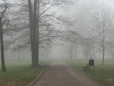 Gęsta mgła na Dolnym Śląsku. IMGW wydaje ostrzeżenie dla 16 powiat&oacute;w