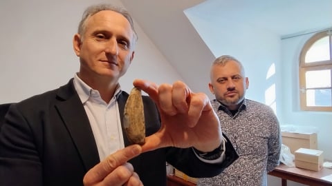 Historia zapisana w... kościach niedźwiedzia. Kiedy homo sapiens pojawił się na Dolnym Śląsku? - 0