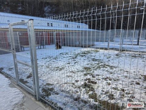 Nowy dom dla czworonogów. Schronisko w Wałbrzychu już po przeprowadzce - 6