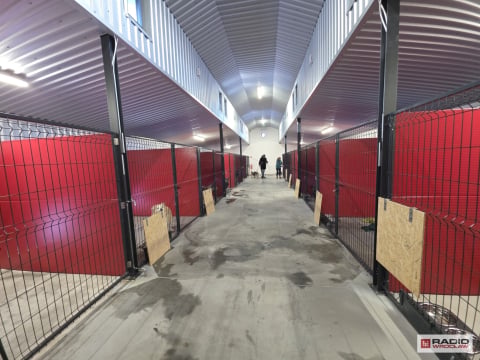 Nowy dom dla czworonogów. Schronisko w Wałbrzychu już po przeprowadzce - 2