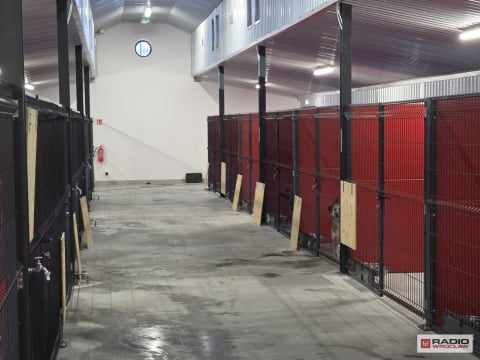Nowy dom dla czworonogów. Schronisko w Wałbrzychu już po przeprowadzce - 4