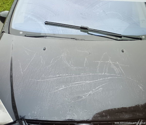 49-latka odpowie za graffiti i uszkodzenie pojazdów. Straty sięgają 60 tysięcy złotych - 1