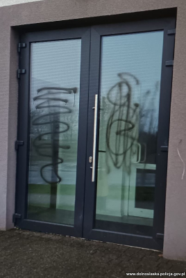49-latka odpowie za graffiti i uszkodzenie pojazdów. Straty sięgają 60 tysięcy złotych - 3