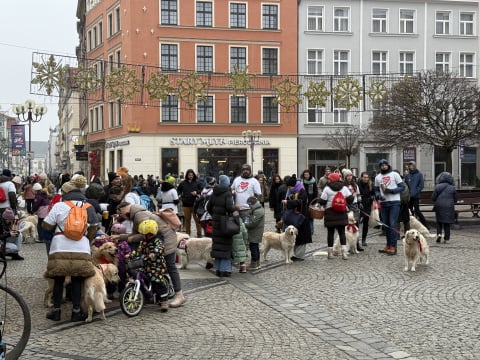Za nami finał Wielkiej Orkiestry Świątecznej Pomocy. Na Dolnym Śląsku nie brakowało atrakcji - 6