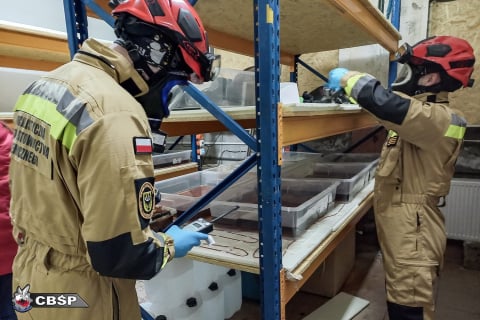 Tajne laboratorium i pół tony gotowego narkotyku. CBŚP zlikwidowało fabrykę w Osadzie Leśnej - 2
