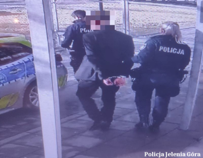 Studni&oacute;wkę zakończył w policyjnej celi. Uderzył nauczyciela i pogryzł ochroniarzy