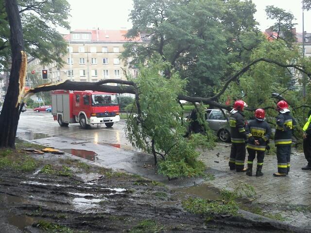 Złamane drzewo na Wyszyńskiego - Fot. Bartek Bronowicki