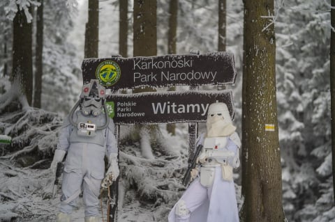 "This is the way". Galaktyka rodem z "Gwiezdnych Wojen" w dolnośląskim przebraniu [REPORTAŻ] - 22