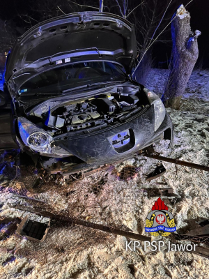 Samochód wpadł w poślizg i uderzył w ogrodzenie. Jechały nim cztery osoby [ZDJĘCIA] - 1