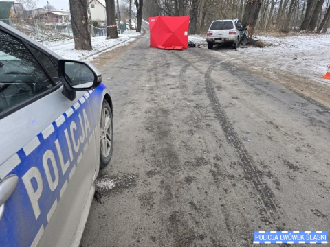 Samochód uderzył w drzewo, kierowca zginął na miejscu. Tragiczny wypadek w Lubomierzu - 0