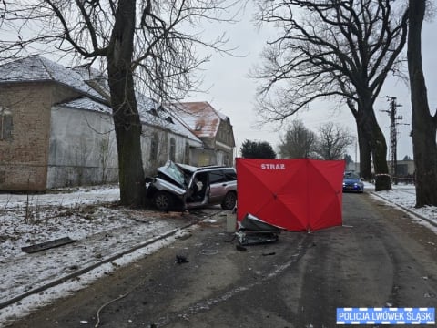 Samochód uderzył w drzewo, kierowca zginął na miejscu. Tragiczny wypadek w Lubomierzu - 1