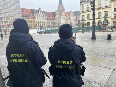 Wrocław jak "Kraina Lodu". To najbardziej śliski dzień roku? [WIDEO] - 1