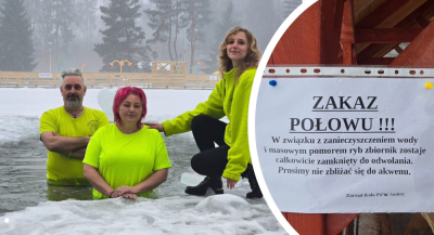 Pom&oacute;r ryb w Szczytnej. Władze uspokajają: "Polanickim morsom nic nie grozi"