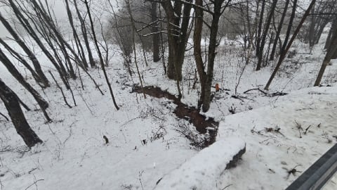 Pomór ryb w Szczytnej. Władze uspokajają: "Polanickim morsom nic nie grozi" - 0