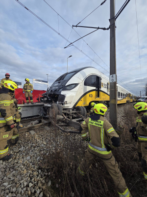Koszmarne skutki zignorowania znaku STOP. Znamy szczegóły tragedii w Chrząstawie Małej - 1
