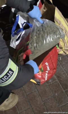 Kłodzko: Samochodem przewozili kilogramy narkotyków. Czterej młodzi mężczyźni zatrzymani - 3