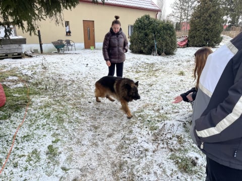 "Bez wody i jedzenia". Awantura o psa w Biedrzychowie. Właściciel przygotował się na kontrolę służb? [WIDEO] - 1