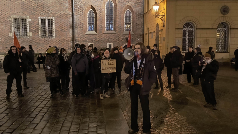 „Dość władzy miliarderów”. Protest na wrocławskim Rynku w sprawie afery Epsteina - 0