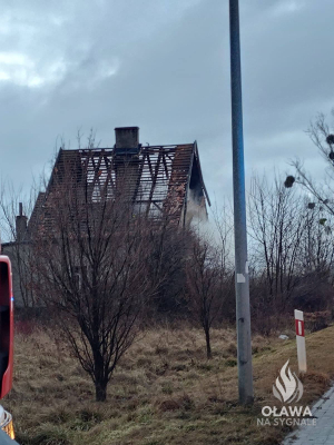 Wybuch gazu i pożar domu jednorodzinnego w Owczarach. Kilkudziesięciu strażaków w akcji! [ZDJĘCIA] - 7
