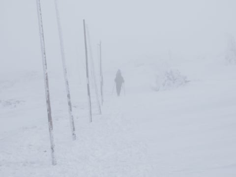 Biała ciemność sparaliżowała Karkonosze. "Teoretycznie jest jasno, w praktyce nic nie widać" - 0