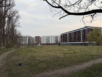 Co z parkiem na Kępie Mieszczańskiej? Nie powstanie co najmniej przez kolejne 2 lata