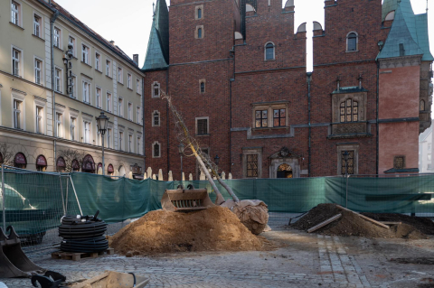 Pierwsza partia drzew dotarła na wrocławski Rynek. Zaczęło się sadzenie - 9