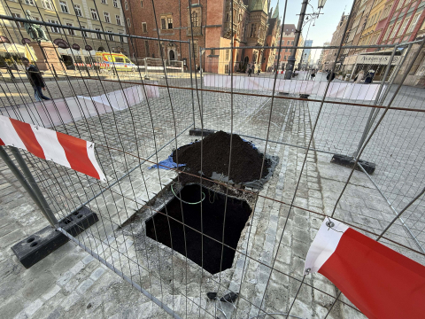 Pierwsza partia drzew dotarła na wrocławski Rynek. Zaczęło się sadzenie - 2