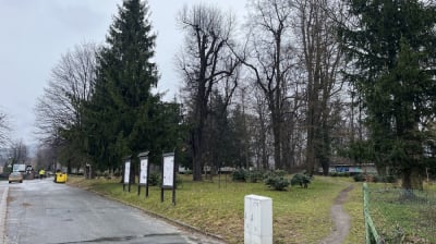 Stary cmentarz w Kowarach zamieni się w arboretum i park pamięci