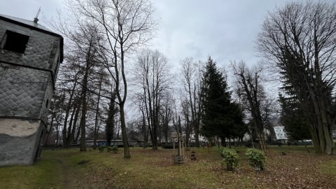 Stary cmentarz w Kowarach zamieni się w arboretum i park pamięci - 0