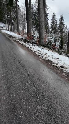 Ciężarówki z drewnem niszczą drogę do sanktuarium. "To jest niebezpieczeństwo" [ZDJĘCIA] - 2