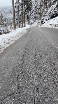 Ciężarówki z drewnem niszczą drogę do sanktuarium. "To jest niebezpieczeństwo" [ZDJĘCIA] - 3