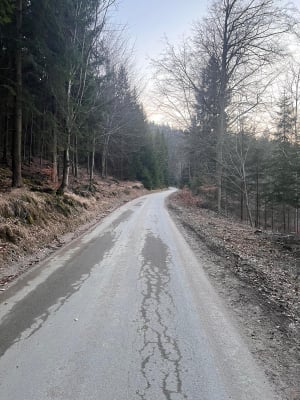 Ciężarówki z drewnem niszczą drogę do sanktuarium. "To jest niebezpieczeństwo" [ZDJĘCIA] - 4