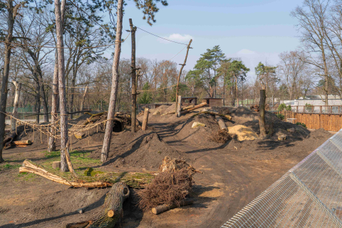 Nowa kładka we wrocławskim zoo. Można z niej podziwiać niedźwiedzicę Korę [WIDEO] - 7