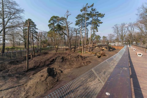 Nowa kładka we wrocławskim zoo. Można z niej podziwiać niedźwiedzicę Korę [WIDEO] - 0
