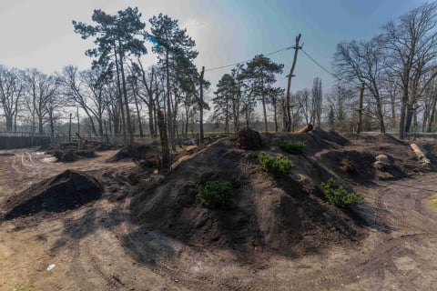 Nowa kładka we wrocławskim zoo. Można z niej podziwiać niedźwiedzicę Korę [WIDEO] - 4