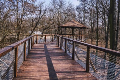 Nowa kładka we wrocławskim zoo. Można z niej podziwiać niedźwiedzicę Korę