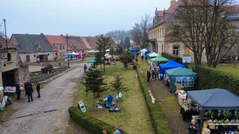 Sery, wędliny i domowe przetwory. W Dalkowie pojawili się wystawcy z całej Polski - 1