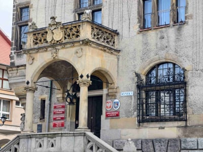 Nowe mieszkania kontra zagrożony gatunek chomika. Radni z Jawora przekazali grunt pod budowę