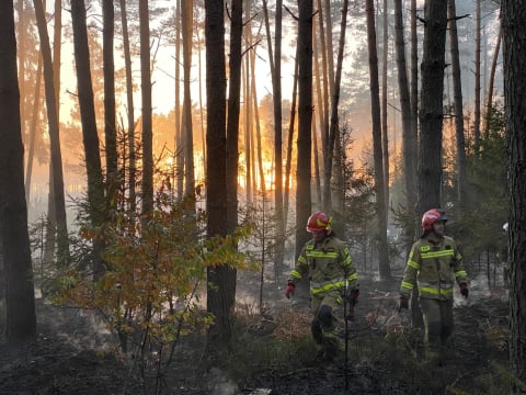 Leśnicy walczą z wiosennymi pożarami. "Ogromne znaczenie ma czujność ludzi" - 3