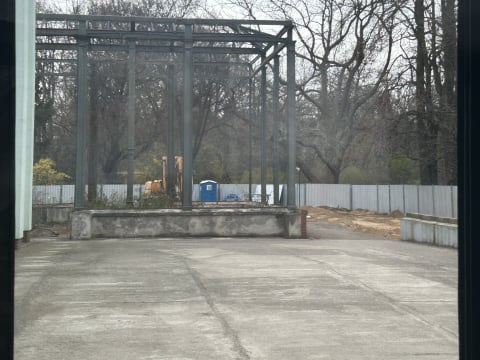 Palmiarnia wraca do Wrocławia po dwóch dekadach! To będzie kawałek prawdziwej dżungli - 0