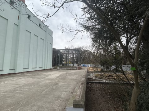 Palmiarnia wraca do Wrocławia po dwóch dekadach! To będzie kawałek prawdziwej dżungli - 1