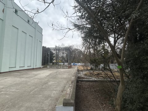 Palmiarnia wraca do Wrocławia po dwóch dekadach! To będzie kawałek prawdziwej dżungli - 2