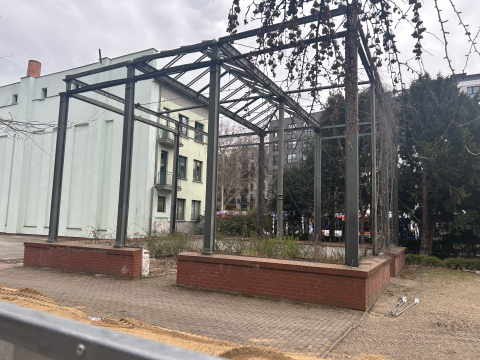 Palmiarnia wraca do Wrocławia po dwóch dekadach! To będzie kawałek prawdziwej dżungli - 3