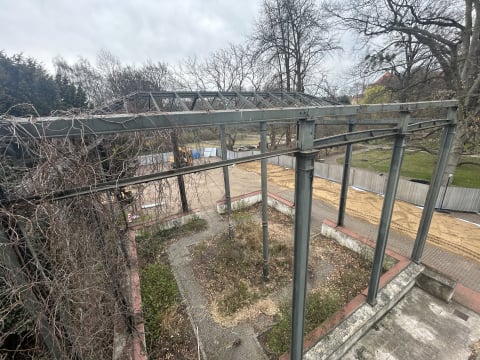 Palmiarnia wraca do Wrocławia po dwóch dekadach! To będzie kawałek prawdziwej dżungli - 4